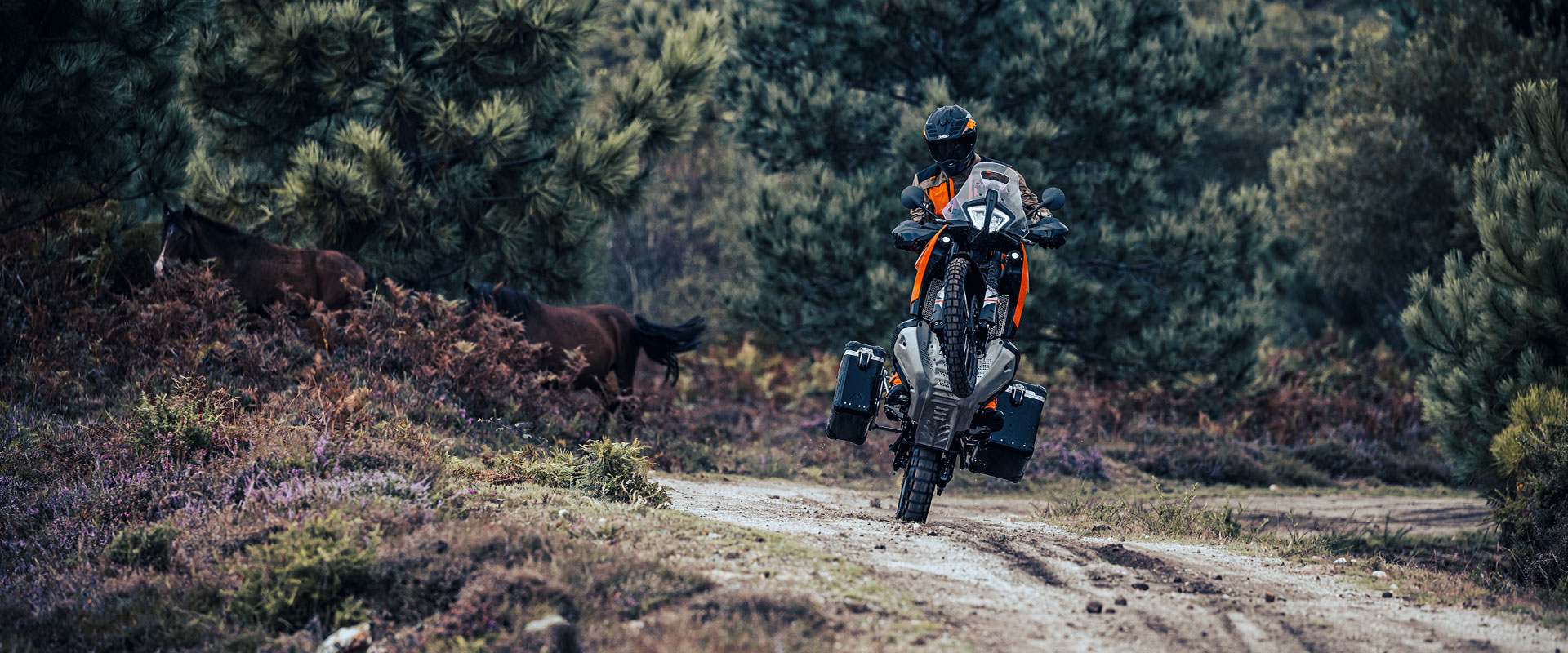 KTM 890 Adventure 2024 PROMO
